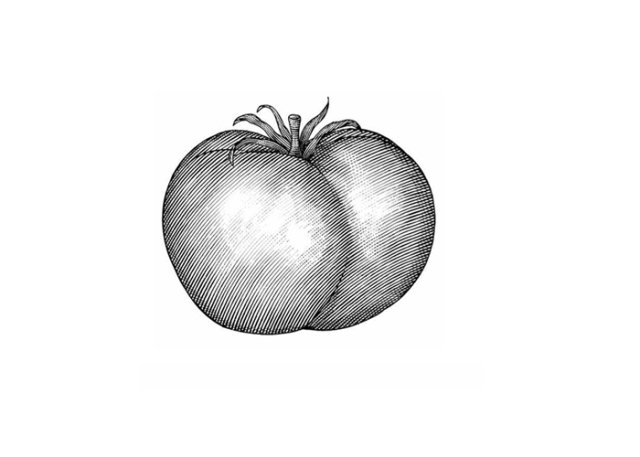 Tomato art 11